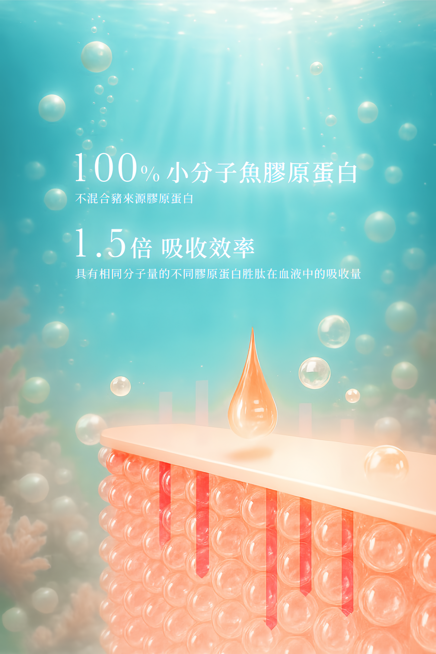 海の女王コラーゲン|入門組