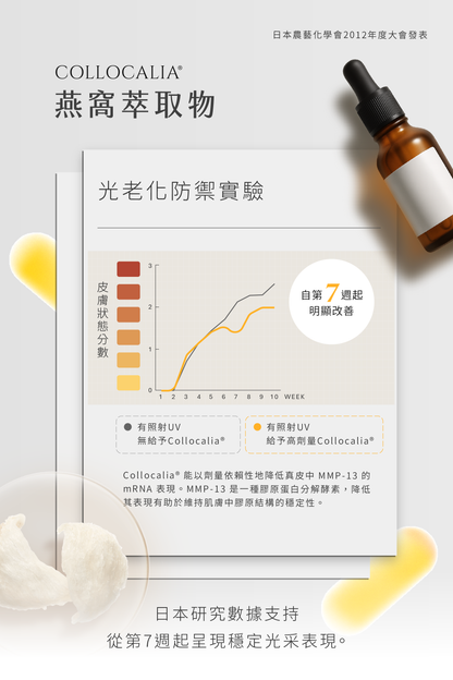 C.BLOOM™ 光透維他命C｜１盒